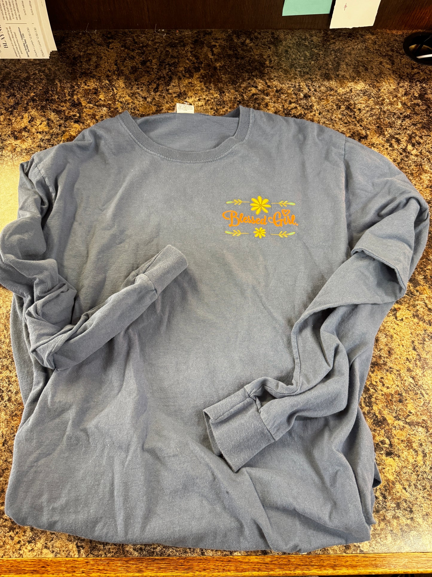 Graphic Tshirts - Long Sleeve - Blessed Girl