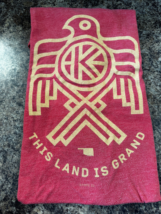Graphic Tshirts - This Land is Grand